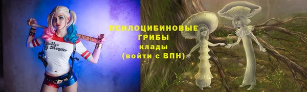 шишки Алексеевка