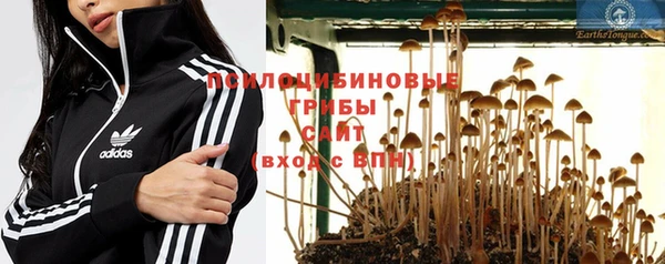 MESCALINE Алзамай