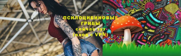 шишки Алексеевка
