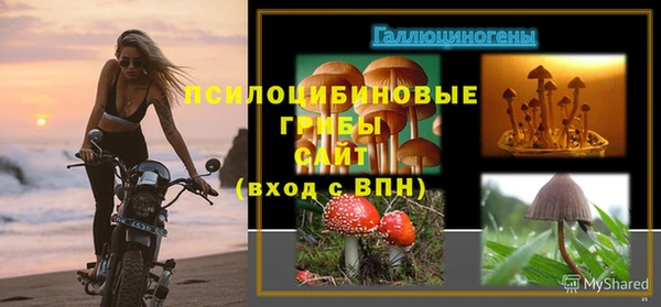шишки Алексеевка