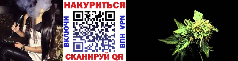 Каннабис план  Купить закладки  Каргополь 